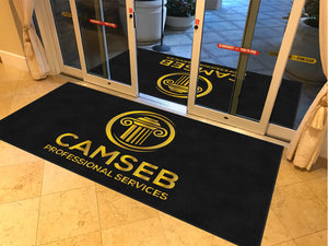 CAMSEB PROFESSIONAL SERVICES