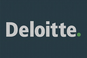 Deloitte 4 X 6 Waterhog Inlay - The Personalized Doormats Company