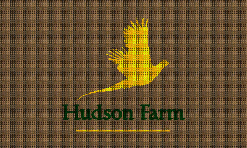 HUDSON FARM - Fashion Edge 3 X 5 Waterhog Impressions - The Personalized Doormats Company