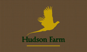 HUDSON FARM - Fashion Edge 3 X 5 Waterhog Impressions - The Personalized Doormats Company