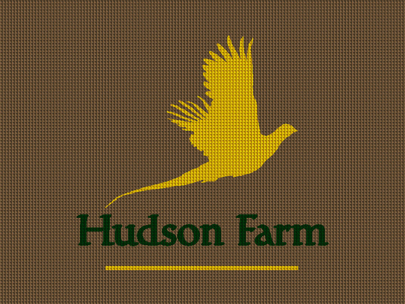 HUDSON FARM - Fashion Edge 3 X 4 Waterhog Impressions - The Personalized Doormats Company