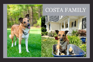 Costa Family §
