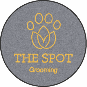 The spot llc §