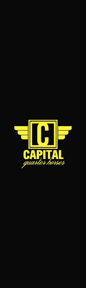 capital Quarter Horses 3 x 10 Rubber Scraper - The Personalized Doormats Company
