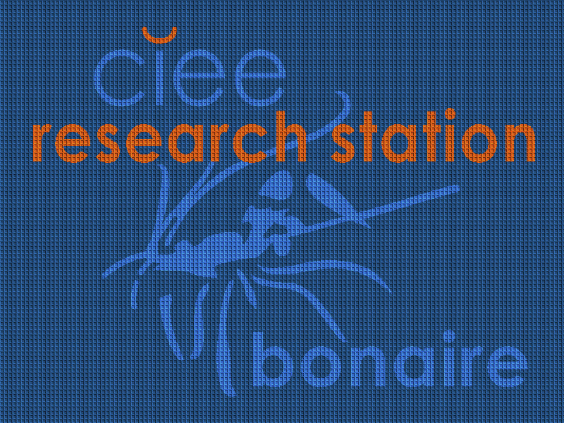 CIEE Research Station Bonaire 3 X 4 Waterhog Inlay - The Personalized Doormats Company
