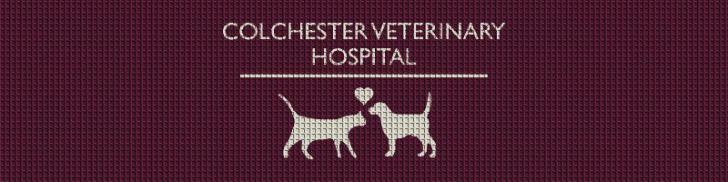 Colchester Veterinary Hospital 3 X 12 Waterhog Impressions - The Personalized Doormats Company