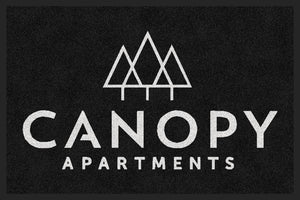 Canopy 2x3