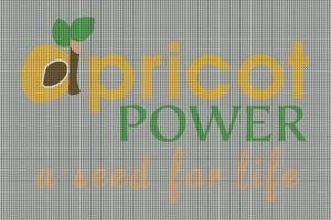Apricot Power 4 x 6 Waterhog Inlay - The Personalized Doormats Company