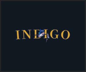 Indigo 2.5 X 3 Rubber Scraper - The Personalized Doormats Company