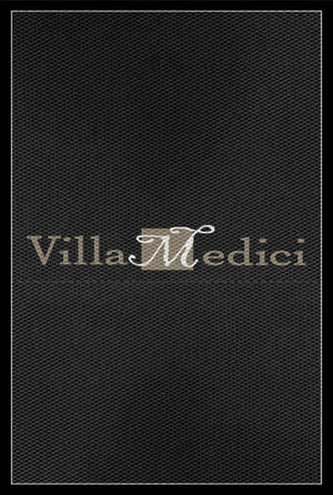 Villa Medici Logo